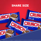 Crunch, Bulk 18 Pack, Milk Chocolate And Crisped Rice, Share Size Holiday Candy Bars, Stocking Stuffers, Individually Wrapped, 2.75 Oz Each