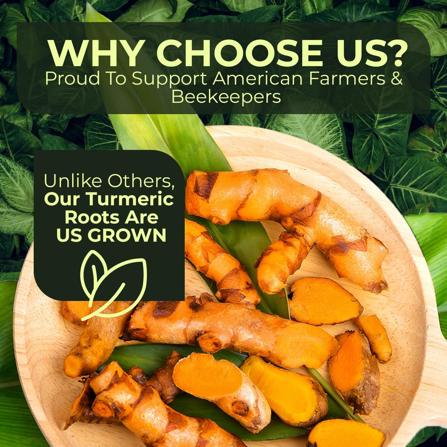 Turmeric Zone Organic Turmeric Root Box - Fresh, 1 lb - Support American Farmers