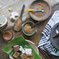 Big Tree Farms Organic Brown Coconut Sugar - Coconut Palm Sugar, Unrefined, Fine Crystals, Cane Sugar Replacement, Coconut Bloss