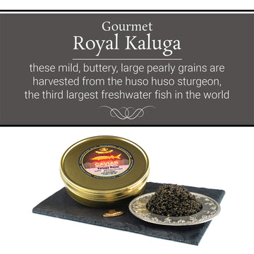 Overnight Shipping- Olma Kaluga Sturgeon Black Caviar - Large Pearly Grains, Smooth Flavor, Superior Grade - 17.6 Oz / 500 G