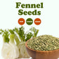 Food To Live Fennel Seeds, 2 Ounces - Whole Raw Seeds, Non-Irradiated, Kosher, Vegan, Bulk. Sweet Licorice Flavor. High In Dieta