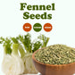 Food to Live Fennel Seeds, Whole Raw, Non-Irradiated, Kosher, Vegan, 5 Pounds