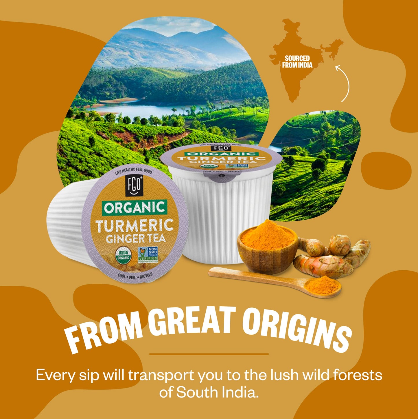 FGO Organic Turmeric Ginger Tea K-Cup Pods, Naturally Caffeine-Free, 24 Count, Keurig Compatible
