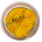 Jovvily Dandelion Leaves - 4 oz - Cut & Sifted - Herbal Tea - Cuisine Garnish