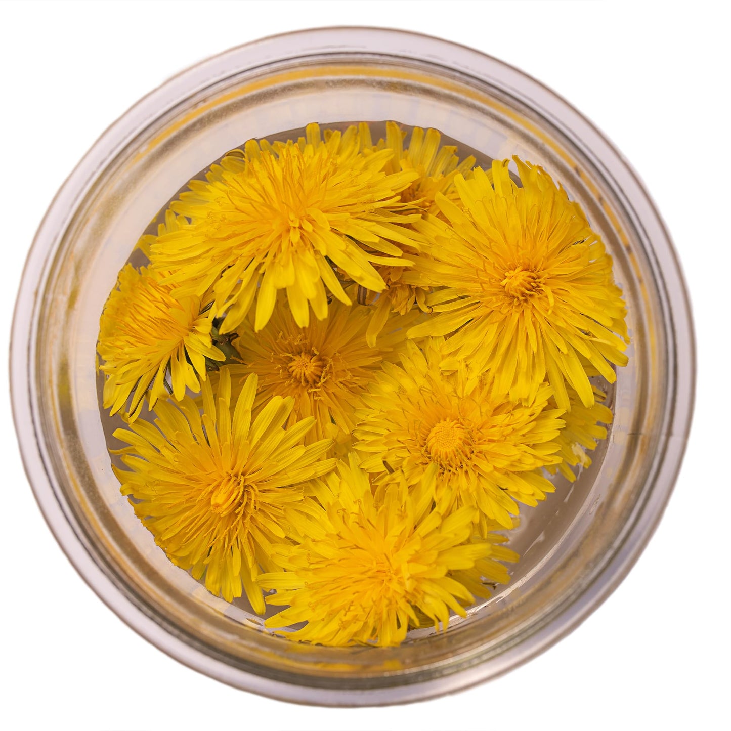 Jovvily Dandelion Leaves - 4 oz - Cut & Sifted - Herbal Tea - Cuisine Garnish
