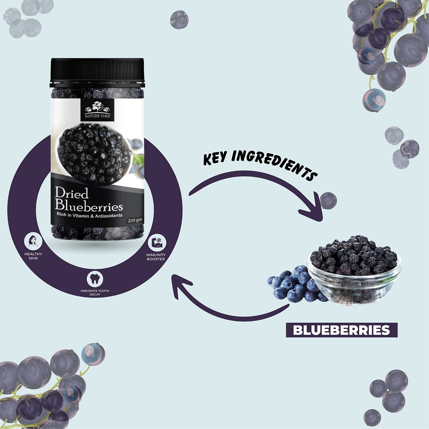 Nature Yard Blueberry Dry Fruit With Rakhi Gift For Brother - 250Gm + 1 Rakhi - Designer Multi Color Coin Rakhi Gifting Set