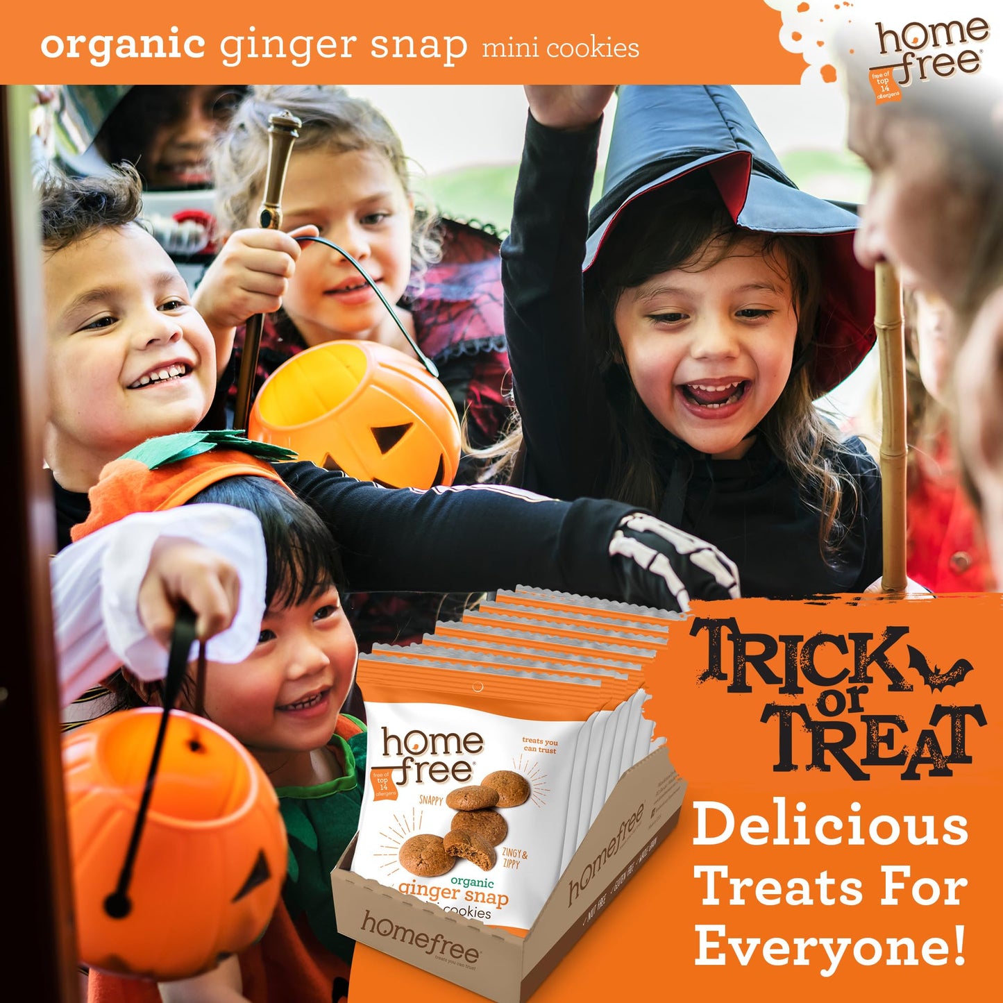 Homefree Mini Ginger Snap Cookies, Organic, Gluten Free, Nut Free, Vegan, Individually Wrapped Packs, School Safe And Allergy Friendly Snack, 0.95 Oz. (Pack Of 10)