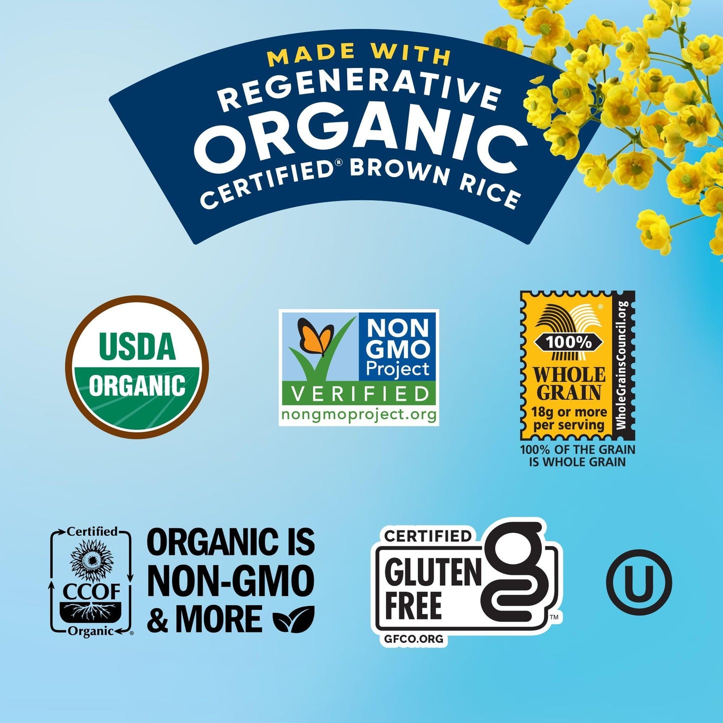 Lundberg Organic Brown Rice Cakes, Lightly Salted, Gluten-Free, Vegan, Healthy Snacks, 8.5 oz (Pack of 6)