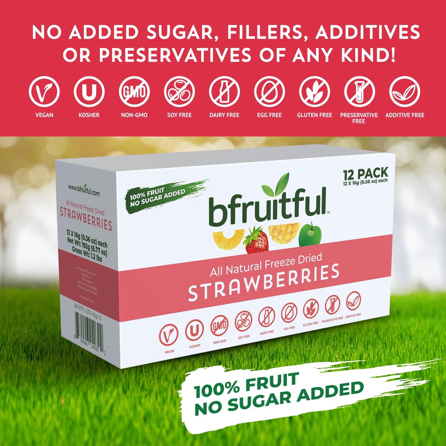 bfruitful Freeze-Dried Strawberries, Gluten Free, Dairy Free, No Sugar Added, 12-Pack