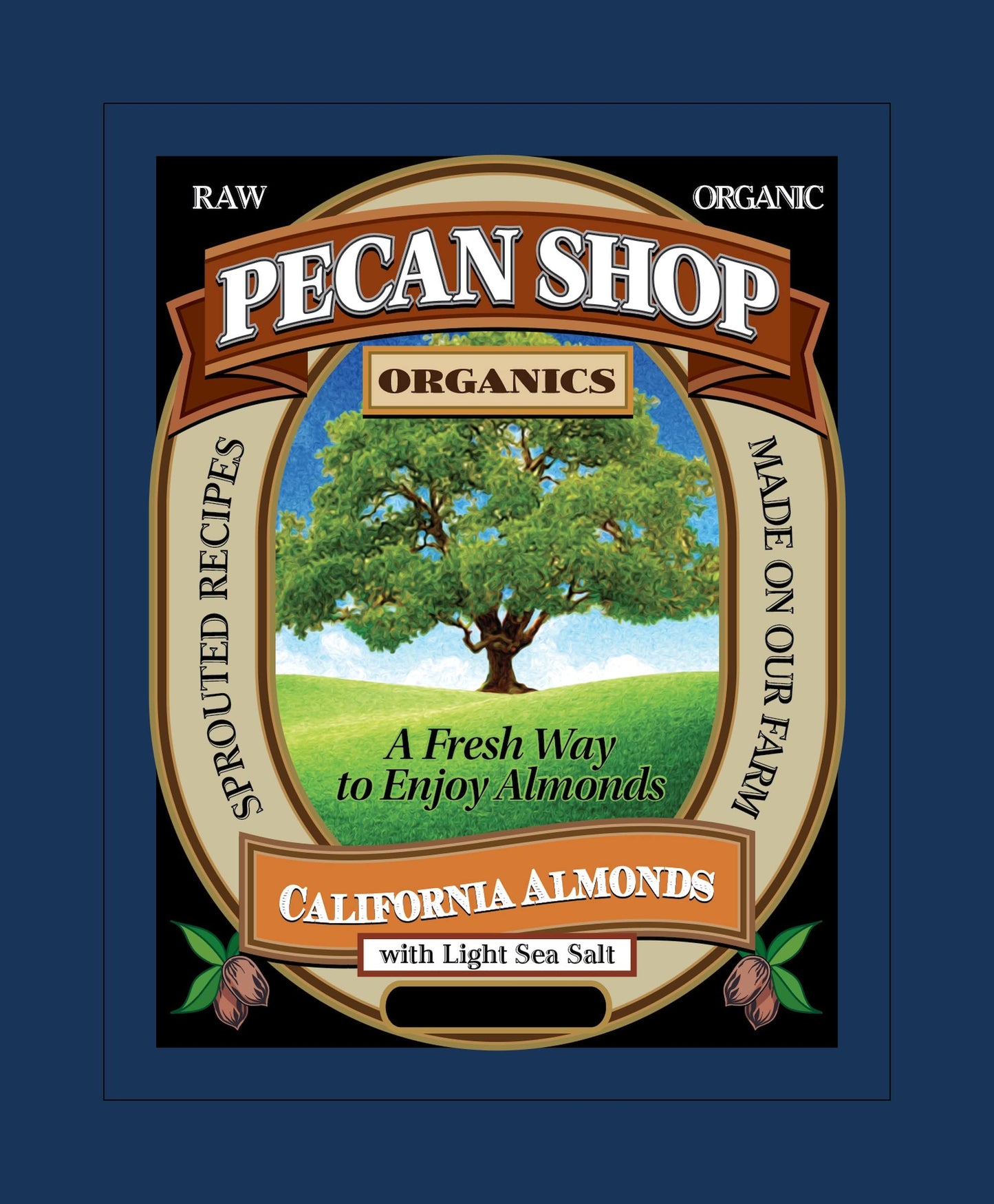 Pecan Shop Sprouted Raw Organic Almonds - Light Sea Salt, 12 oz