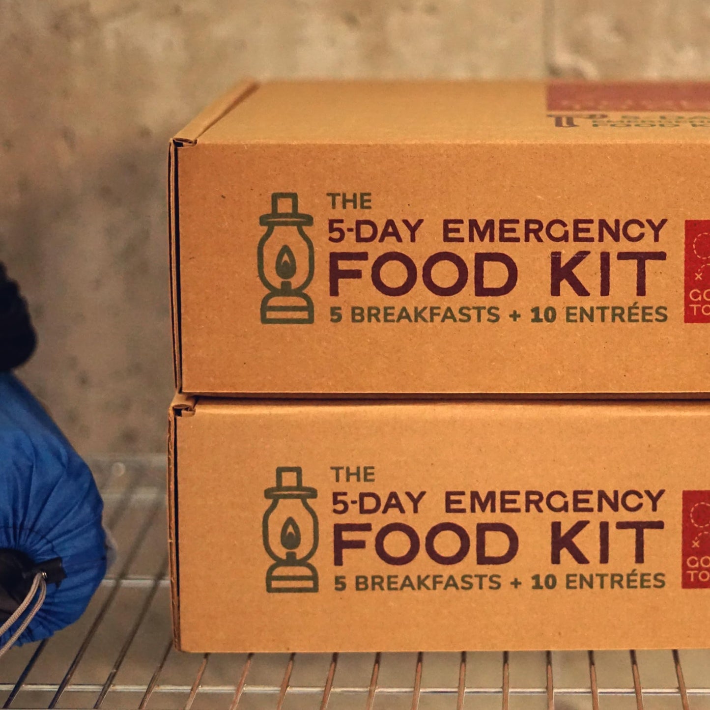 GOOD TO-GO Vegan 5-Day Emergency Food Supply Kit | Survival Food, Easy to Prepare | Just Add Water Camping & Backpacking Meals |