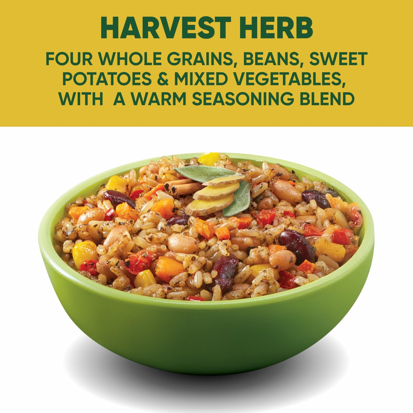 SEEDS OF CHANGE Organic Protein Bowl, Harvest Herb, 9 oz, Microwave Ready, Pack of 6 - Quick & Healthy Prepared Entrée