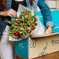 Benchmark Bouquets, 25 Stem Peruvian Lilies, Glass Vase Included, Gift Fresh Flowers For Birthday, Anniversary, Get Well, Sympat
