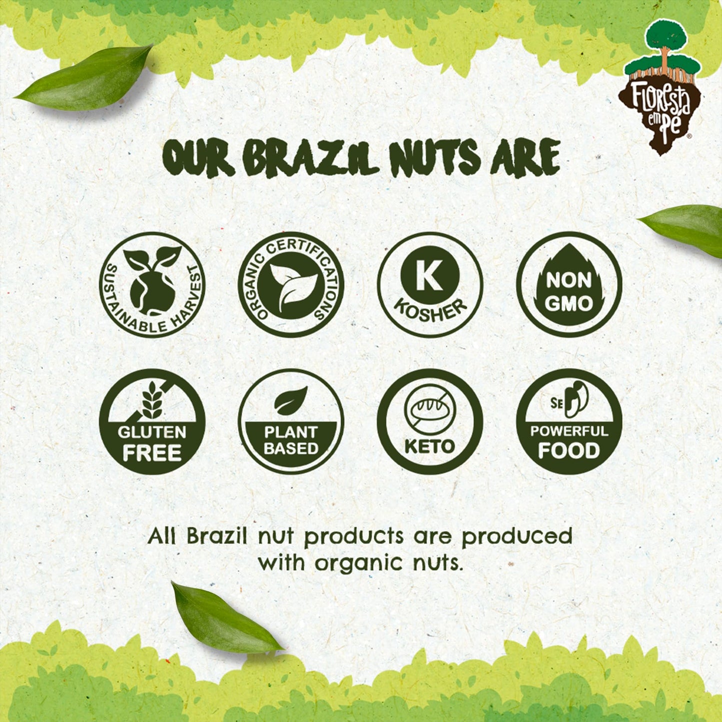 Snack The True Organic Brazil Nuts 15 Oz – Raw And Unsalted – Kosher – Healthy-Rich In Vegetable Protein – Harvested In Large Online Retailer Rainforest – Fresh, Vegan And Gluten Free – Forest Up
