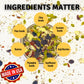 BetterFoods Raw Superfoods Crunch Mix | enhanced Pumpkin  Sunflower  Flax  Chia  Sesame Seeds  Almonds  Goji Berries & Raisins Blend | 6g Protein  Vegan  Non-GMO  No Gluten/Salt/Soy | 24oz  Pack of 6