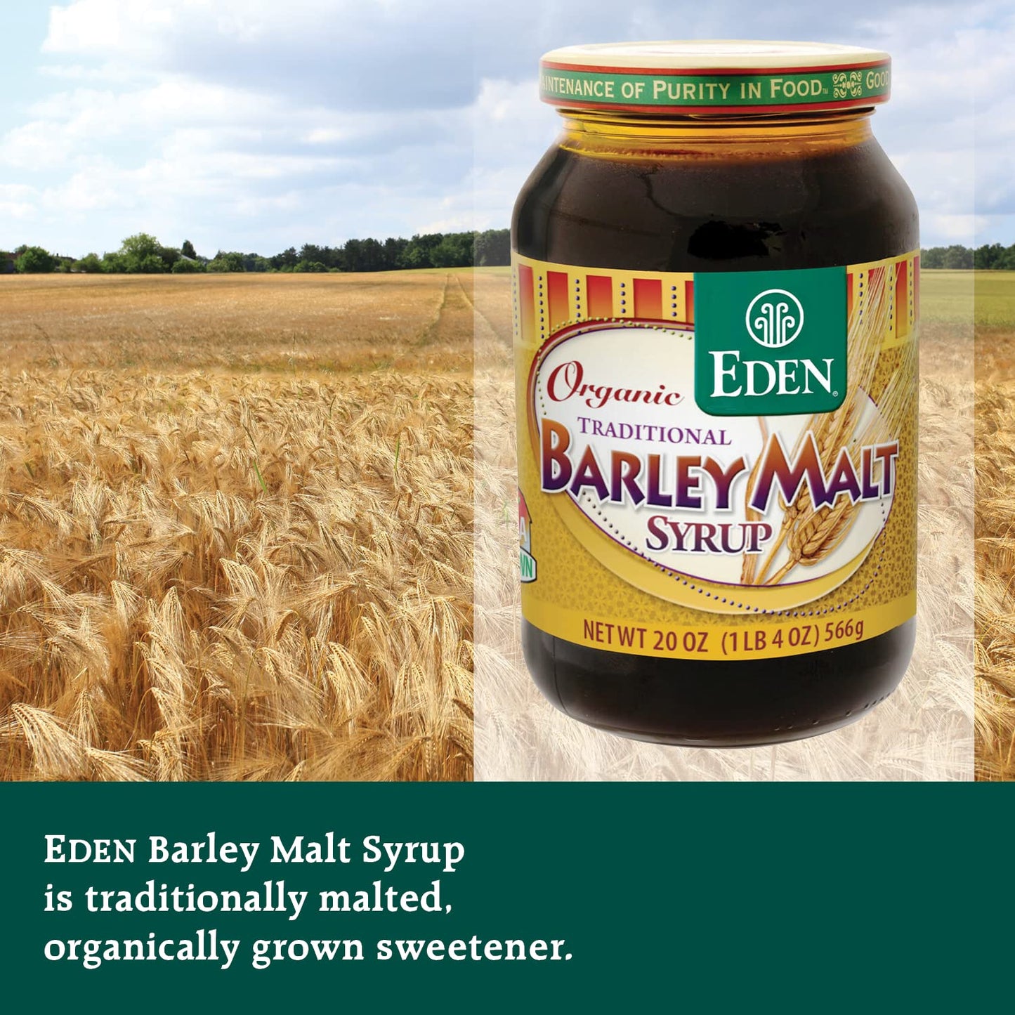 Eden Organic Traditional Barley Malt Syrup, Whole Grain Liquid Sweetener, 74.5% Maltose, Non-Diastatic, Perfect for Bagels, Non-