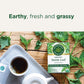 Traditional Medicinals Organic Nettle Herbal Leaf Tea, 16 Tea Bags (Pack of 6)