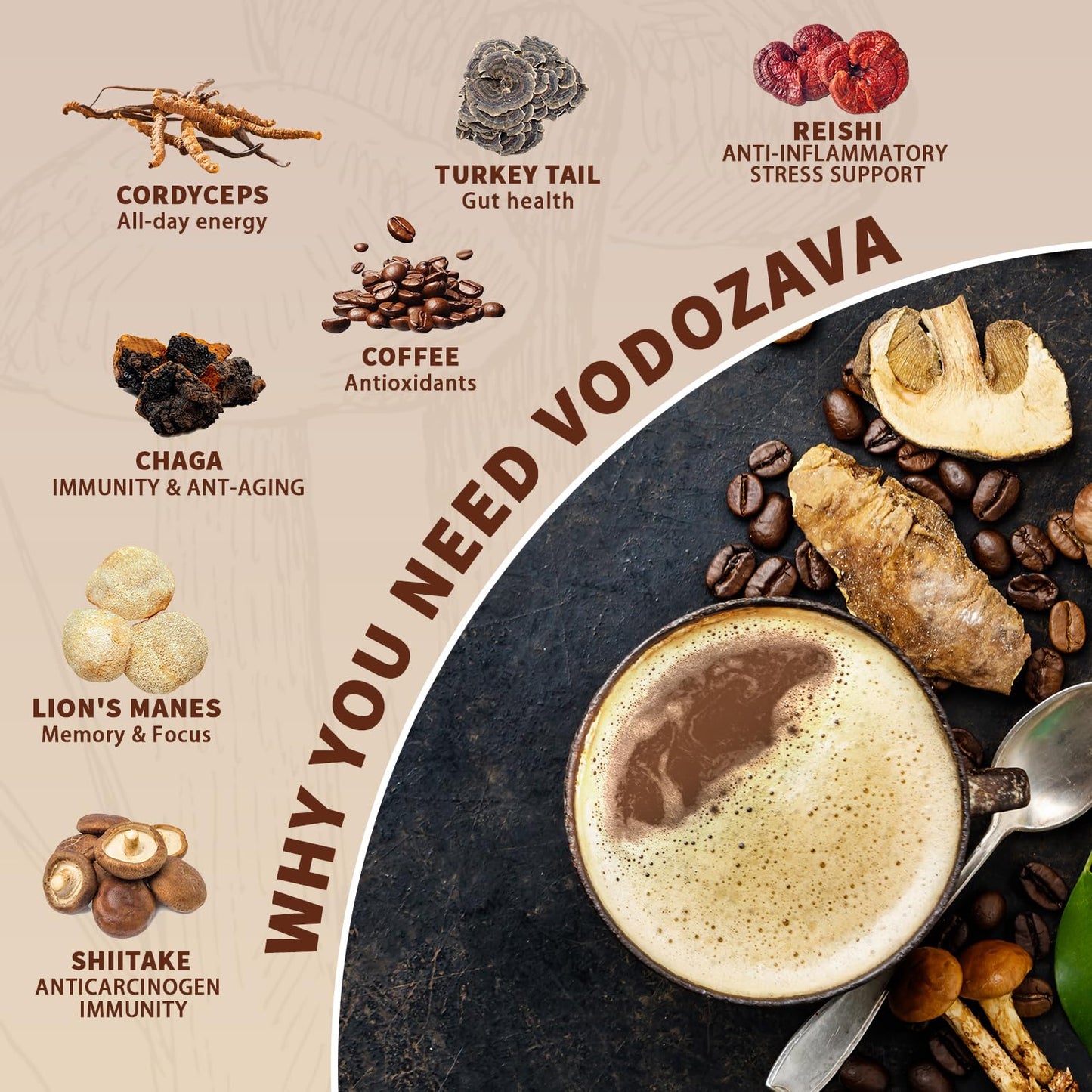 Vodozava Instant Mushroom Coffee Powder Weight Loss Espresso Cafe Extract With Chaga Lions Mane Turkey Tail Shiitake Cordyceps R