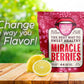 THE SNOZZBERRY FARM   Berries | Freeze-dried Berry Halves | 0.25 Ounce Pack | Grown in the USA