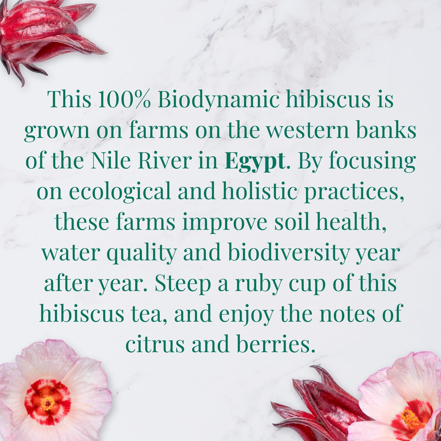 The Republic of Tea Organic Egyptian Hibiscus Herbal Tea, 36 Count, Naturally Caffeine-Free, Tea Bags