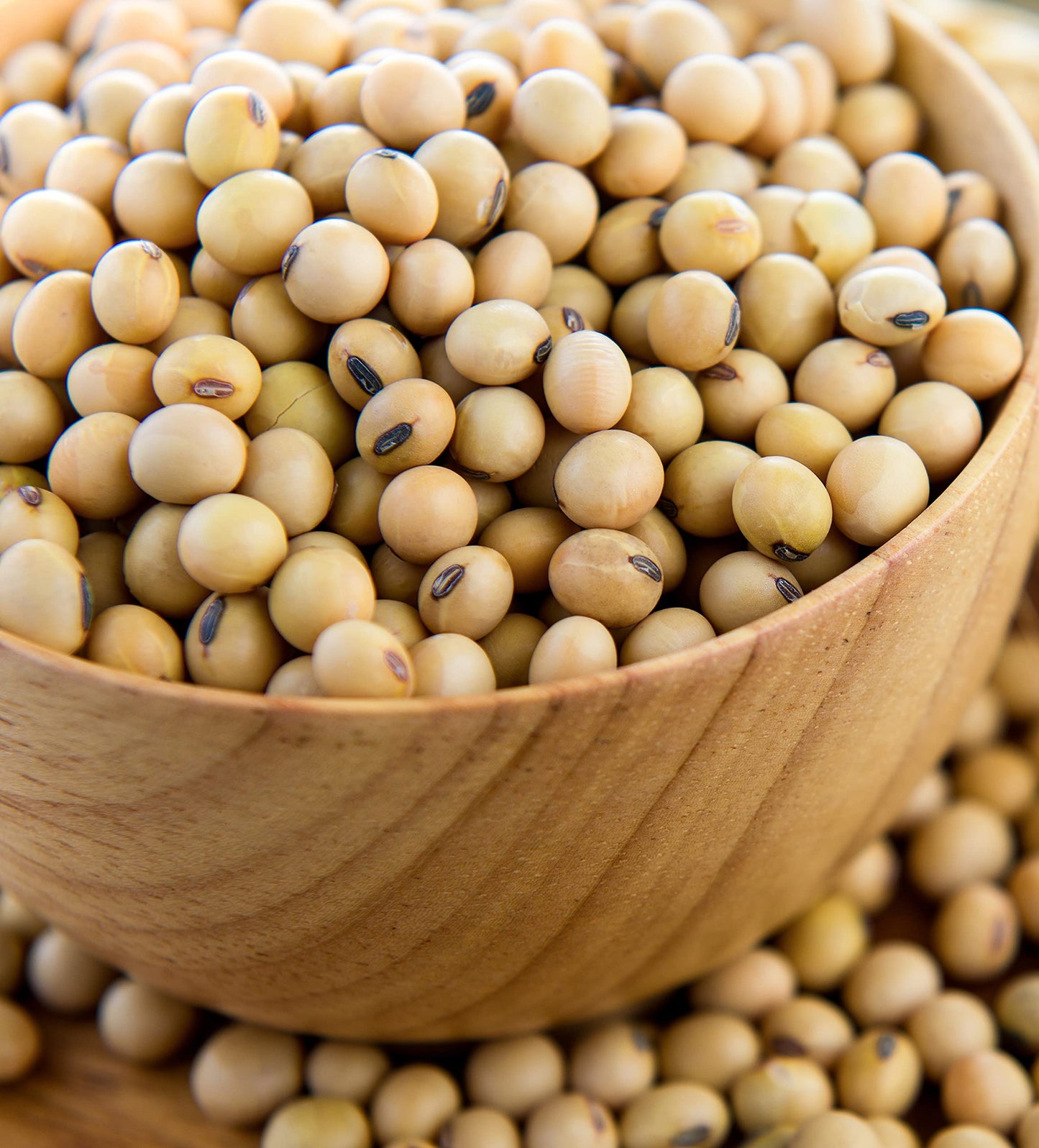 Q-Rapha Premium Korean Doenjang (Soybean Paste), Gluten-Free Non-Gmo Unpasteurized Artisanal, Aged Over 3 Years (17.9 Oz)