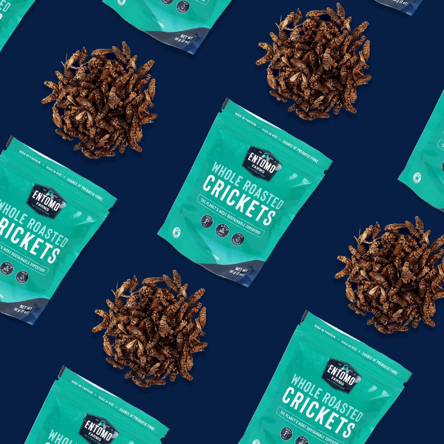 Whole Roasted Crickets - Canadian Raised - 113 Grams