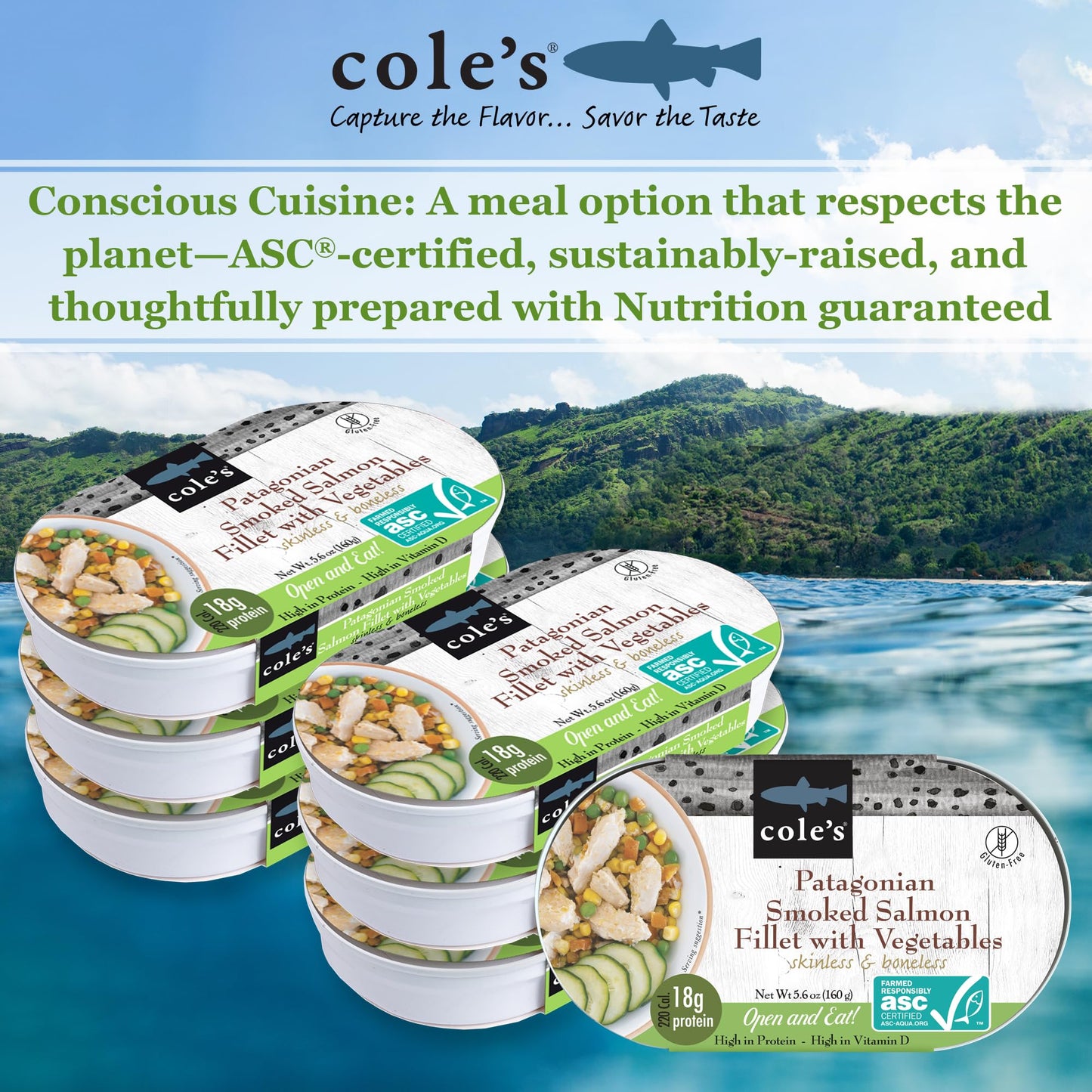 Coles Patagonian Smoked Salmon Fillet with Vegetables, 5.6 oz Canned, High in Vitamin D, 19g Protein, 6 Pack