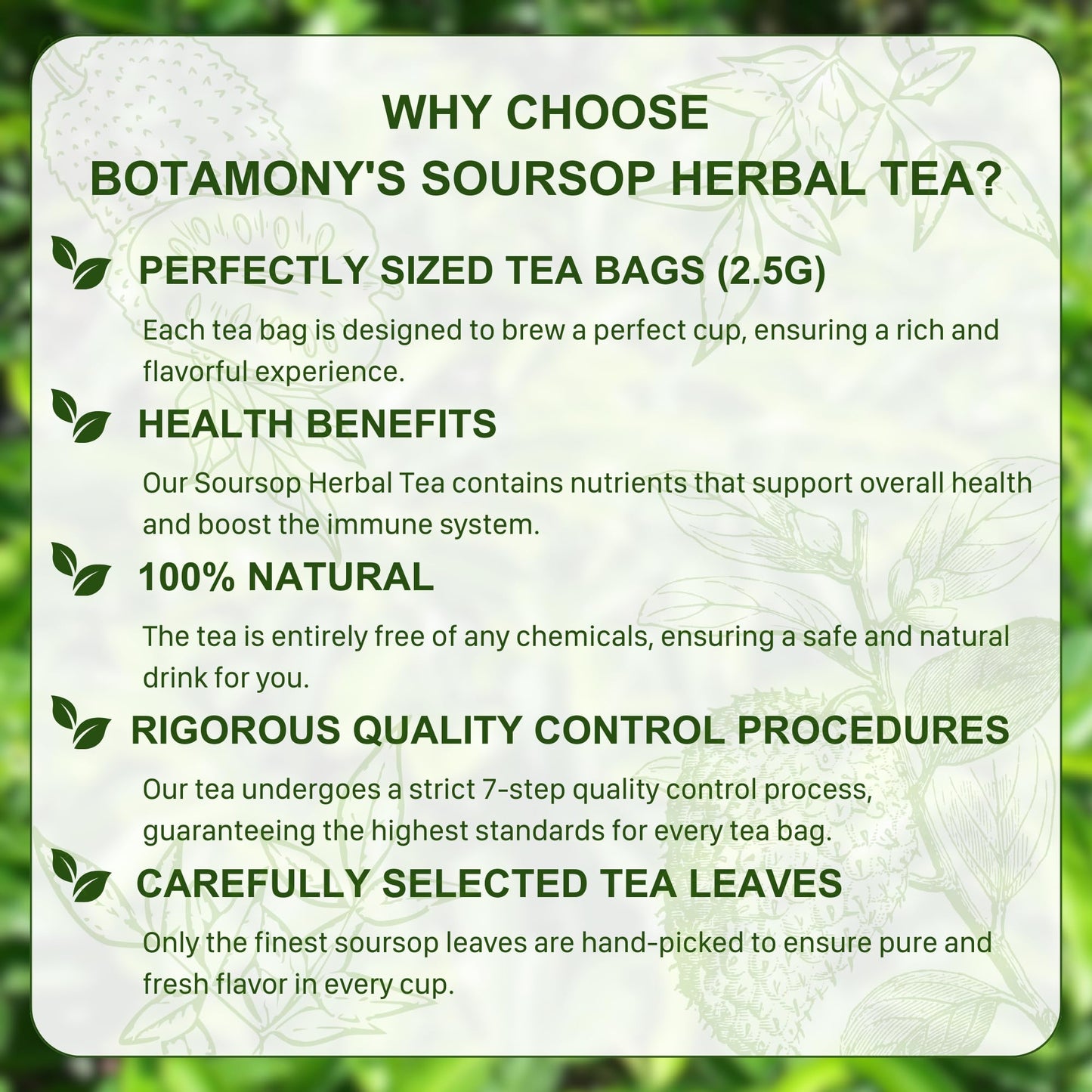 BOTAMONY Soursop Graviola Leaf Tea Bags, Organic Non-GMO, Caffeine/Gluten Free, 2.5g per Teabag