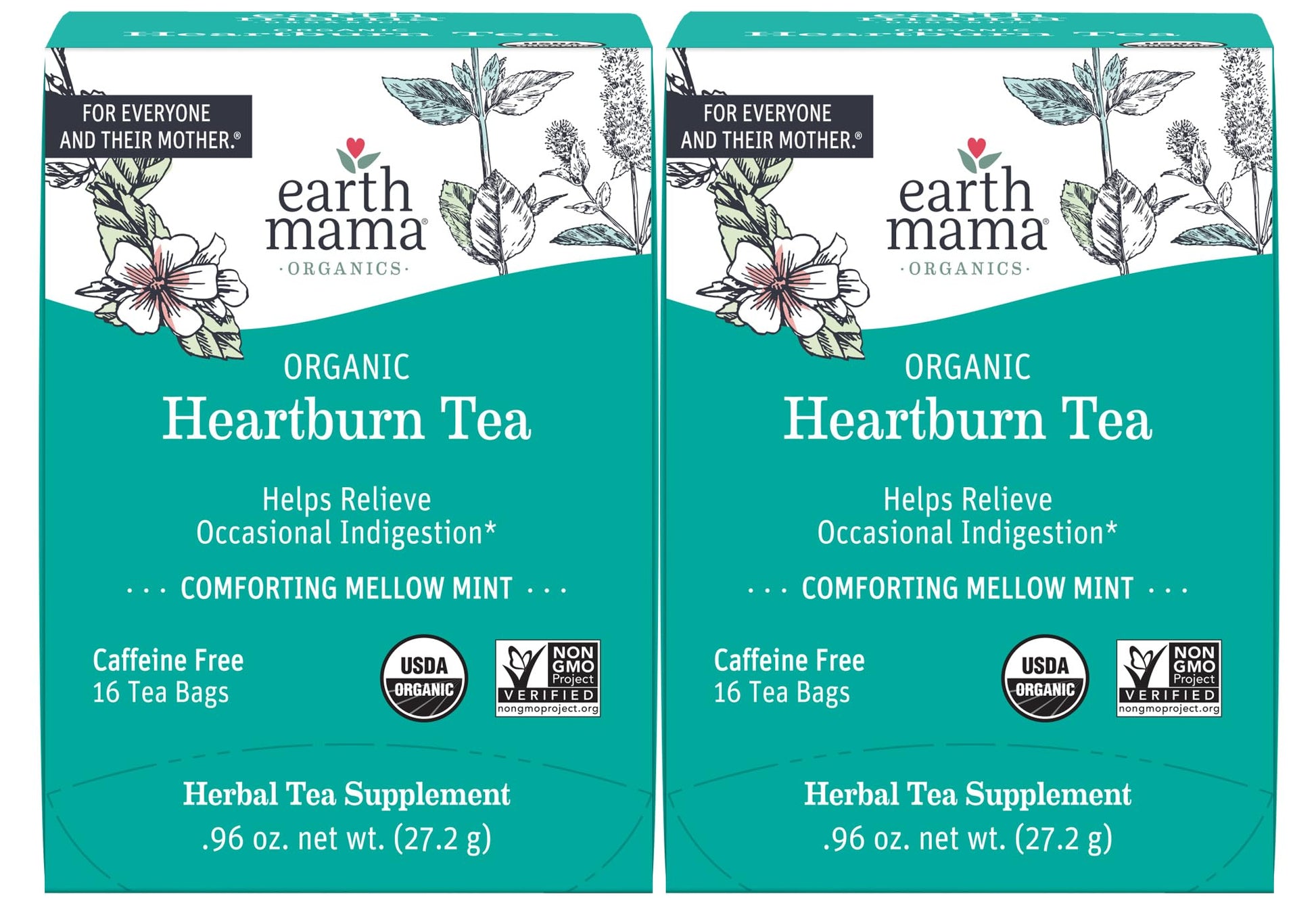 Earth Mama Organic Heartburn Tea Bags, 16 Count (Pack of 2)