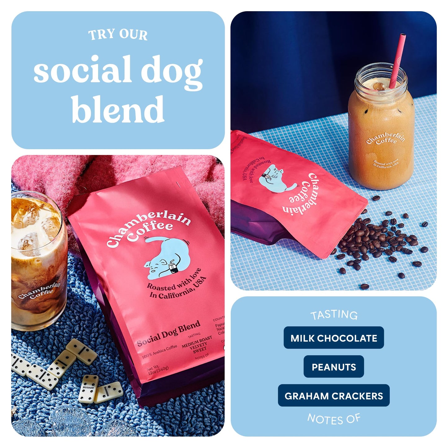 Chamberlain Coffee Social Dog Blend - Organic Whole Bean Coffee, 12oz, Model CC01CWSDXX