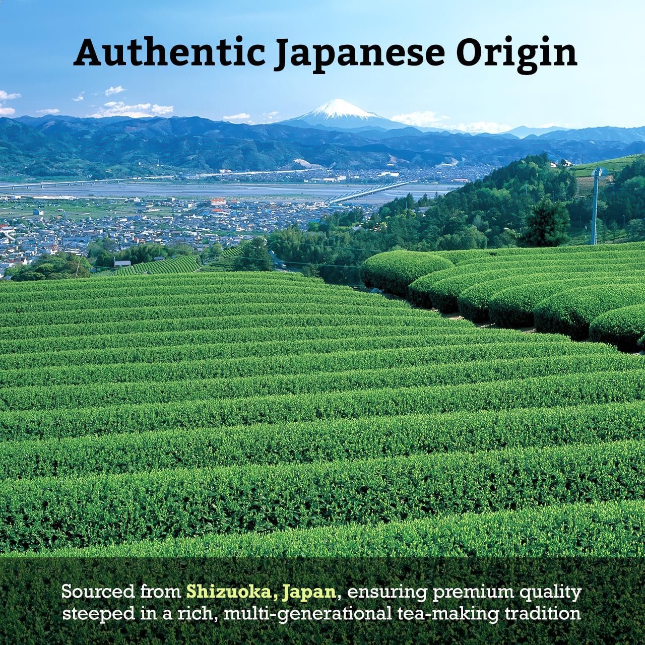 Sugimoto Tea Japanese Matcha Genmaicha Green Tea Loose Leaf 3.5 Oz (100 G) Pack Of 1