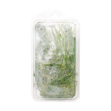 Organic Dill, .75 oz