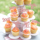 Gyufise 24 Pack Rose Gold Glitter 16Th Birthday Cupcake Toppers Hello Sweet 16 Sixteen Since 2009 Cupcake Picks For 16Th Birthday Party Cake Decorations Supplies