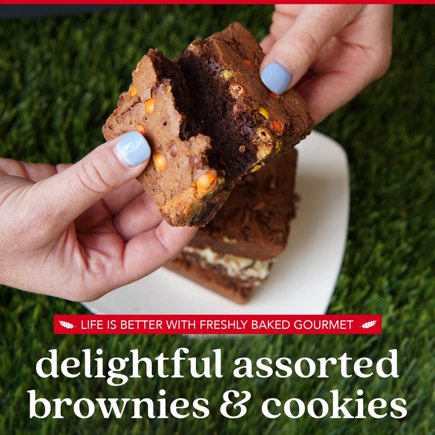 DAVIDS COOKIES Assorted Cookies & Brownies in Carton Box | Enjoy Our Homemade, Delicious, Great for Sharing Freshly-Baked Food