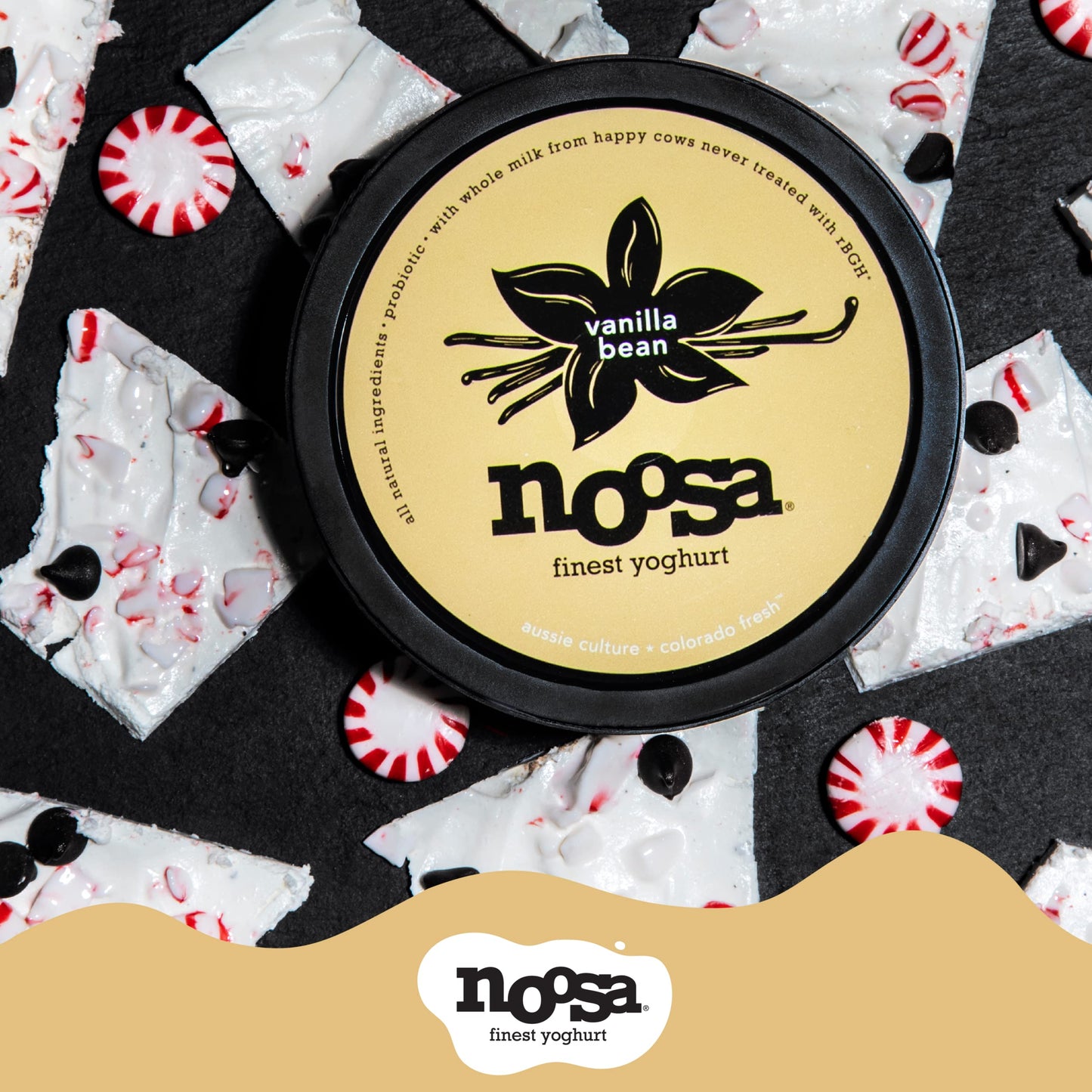 NOOSA YOG VANILLA BEAN (12x8.00)