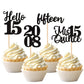 24 Pcs Black 15Th Birthday Cupcake Toppers Glitter Hello 15 Cupcake Topper Mis Quince Fifteen Since 2008 Cupcake Picks For Happy