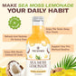 TrueSeaMoss Pina Colada Sea Moss Drink – Vegan Coconut Pineapple Infused – 4 x 12 fl oz Bottles – Tropical Hydration Made in USA