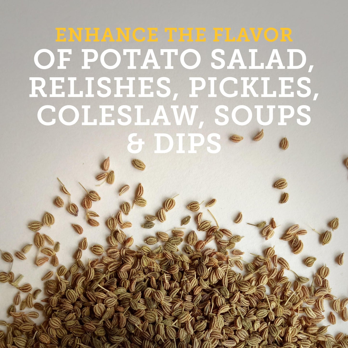 Tones Celery Salt, 4.00 Ounce