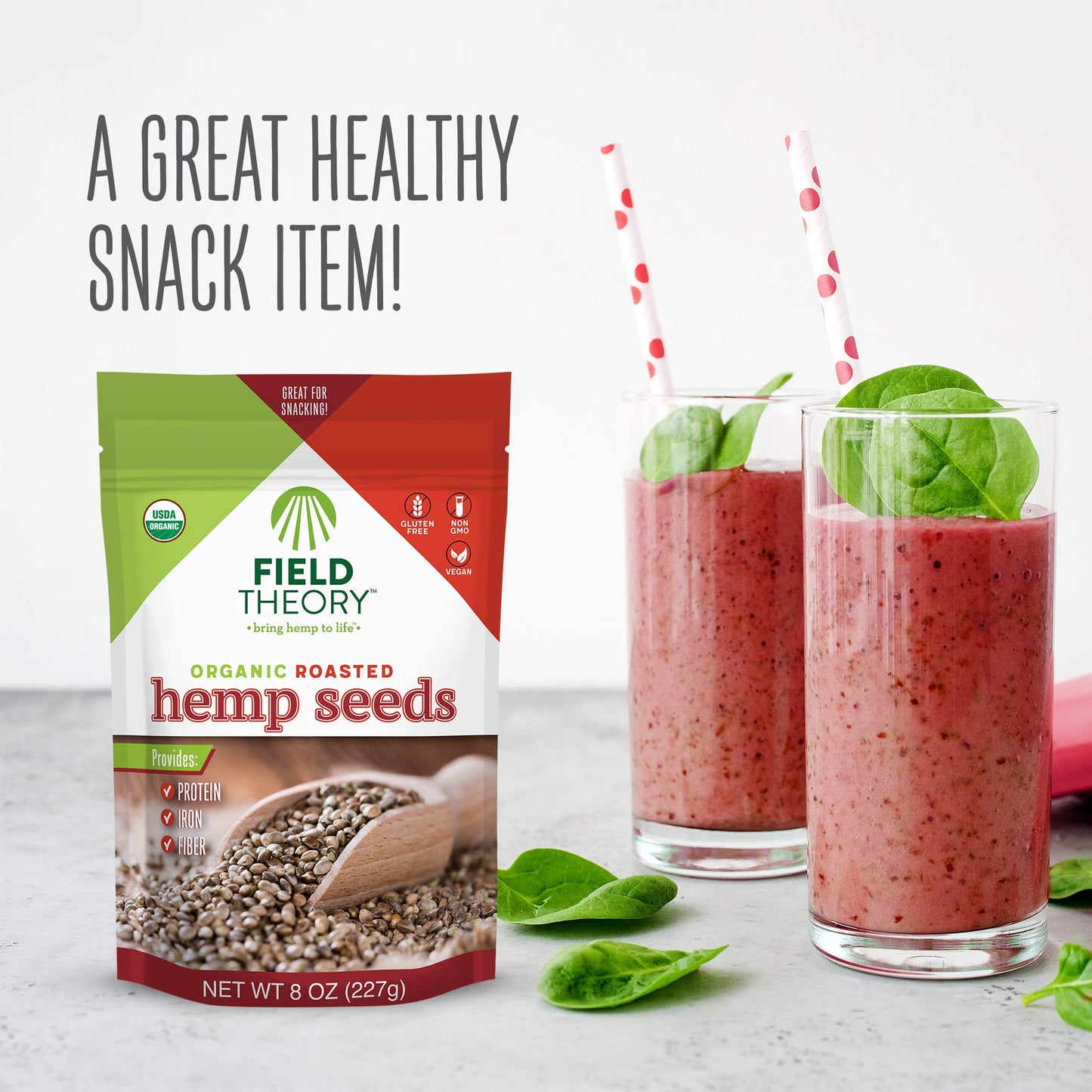 Field Theory - Roasted Hemp Seeds - Case Of 8-8 Oz(D0102H541Nx)