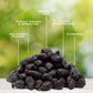 Traina Home Grown California Dried Whole Black Mission Figs - Healthy, No Added Sugar, Non Gmo, Gluten Free, Kosher Certified, Vegan, Value Size (5 Lbs)