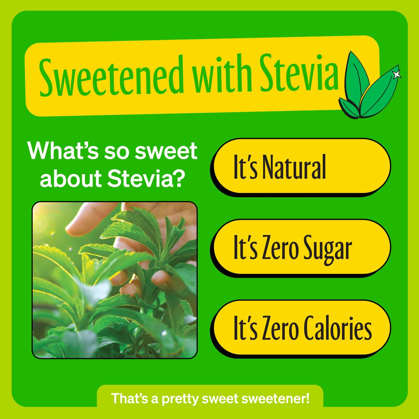 Zevia Zero Calorie Soda  Lemon Lime Twist  12 Ounce Cans (Pack of 6)