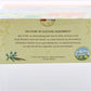 Celestial Seasonings Herbal Tea - Honey Vanilla Chamomile - Model 48874