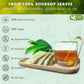 FRESHDRINKUS Soursop Graviola Leaf Tea Bags, 100% Natural, Vegan, 33 Tea Bags