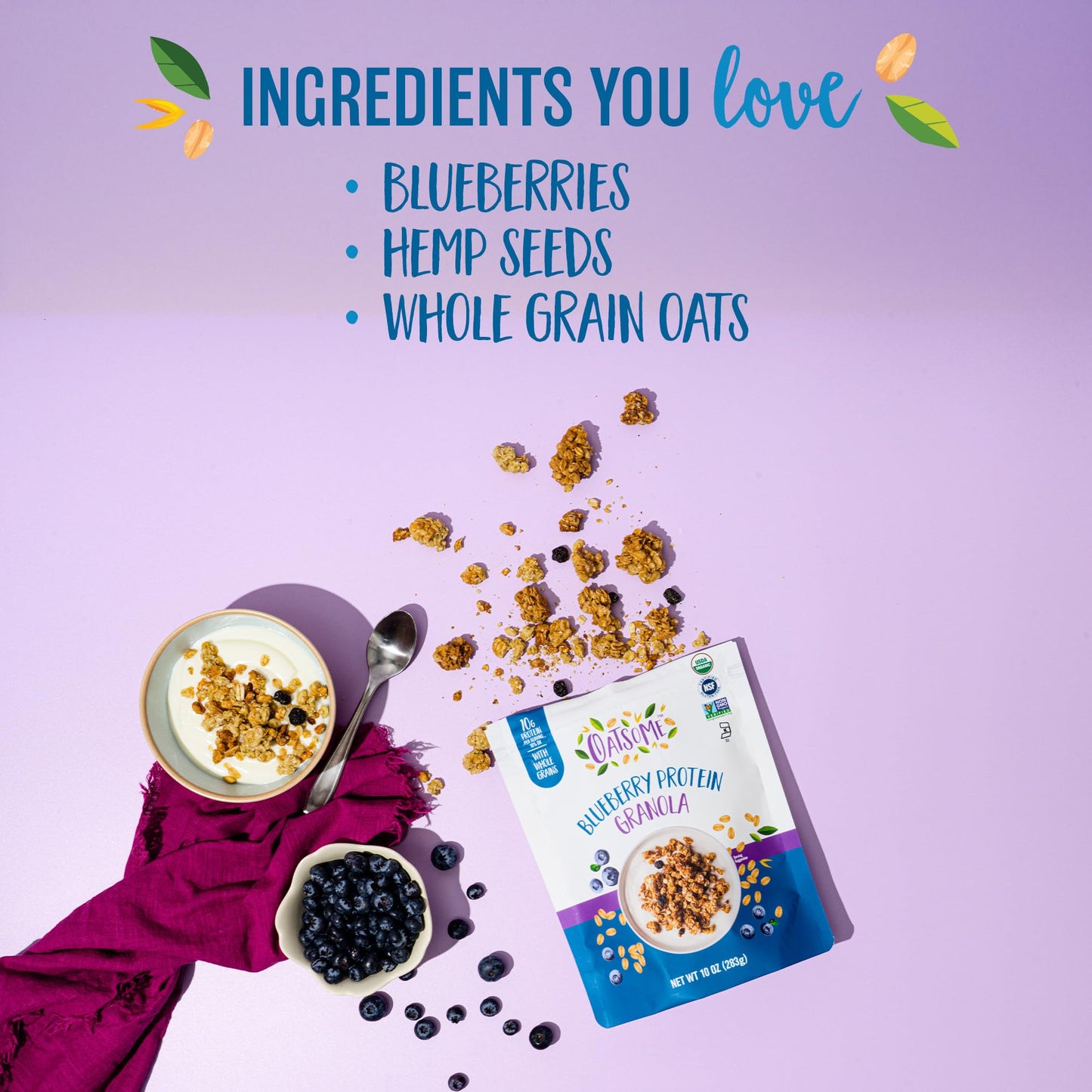 Oatsome Blueberry Protein Granola, 10G Protein, Gluten Free, Made With Whole Grain Organic Oats, Real Blueberries, & Hemp Seeds,