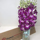 Eflowerwholesale - Mother'S Day Purple Orchid With Vase