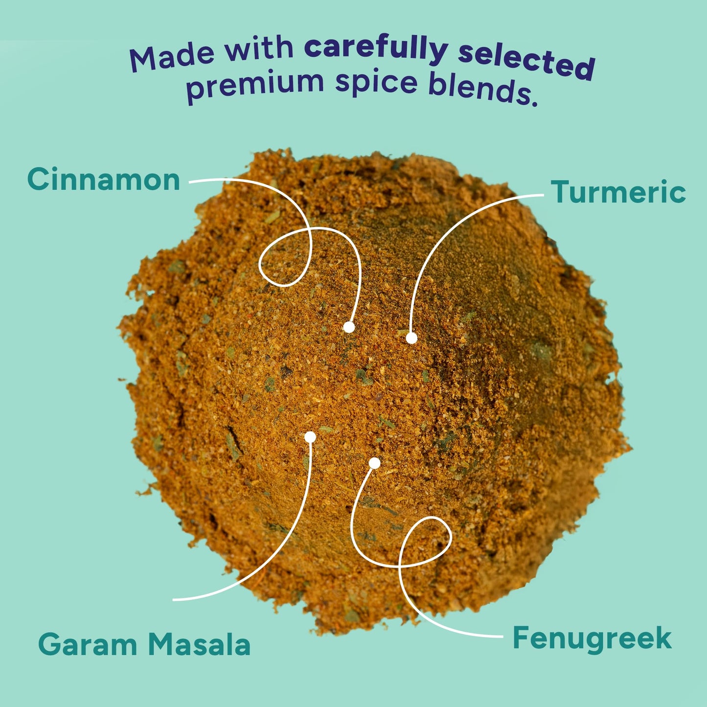 Fadwa Masala Butter Chicken Spice Mix - 4.5 oz Jar  Salt & Sugar Free  Non-Spicy Authentic Desi Spices for Pakistani & Indian Cooking  Curry  Garam Masala - No Artificial Ingredients - Gluten Free
