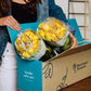 Benchmark Bouquets - 50 Stem Enhanced Yellow Roses (2 Bundles Of 25; Vase Not Included) - Fresh Flowers For Delivery - Gift For Graduation, Birthday, Anniversary, Sympathy, Get Well, Congratulations