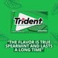 Trident Spearmint Sugar-Free Chewing Gum, 12 Packs of 14 Pieces (168 Total Pieces)