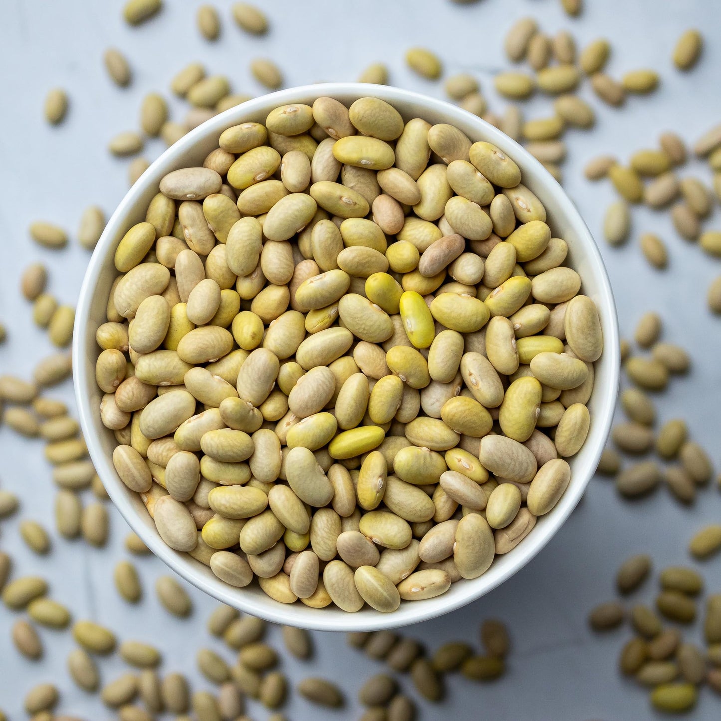 High Plains Beans Mayocoba Beans, Non-GMO, 10 Pound Bag, High Protein & Fiber Source, Dry Beans