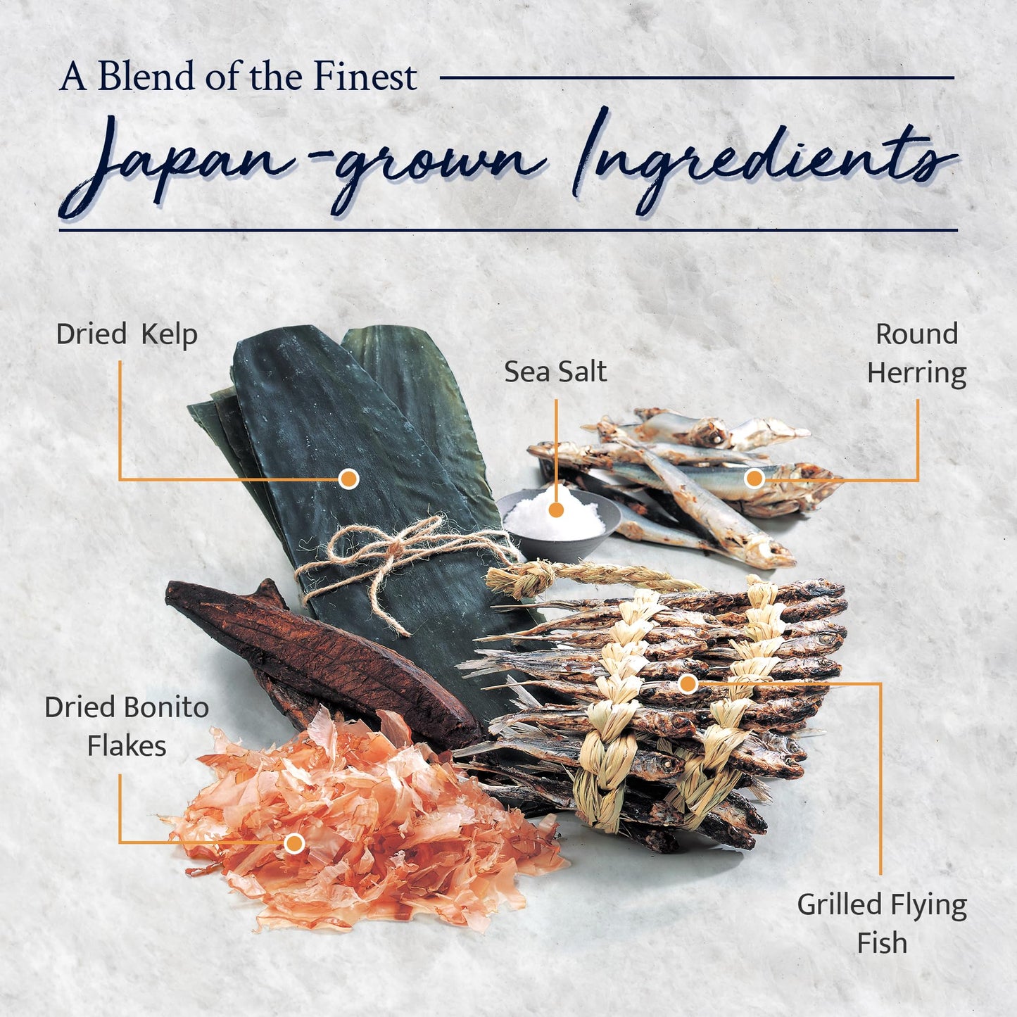 Kayanoya Dashi Powder, Original Dashi Stock with Bonito Flakes, 0.28 Ounce (Pack of 12)